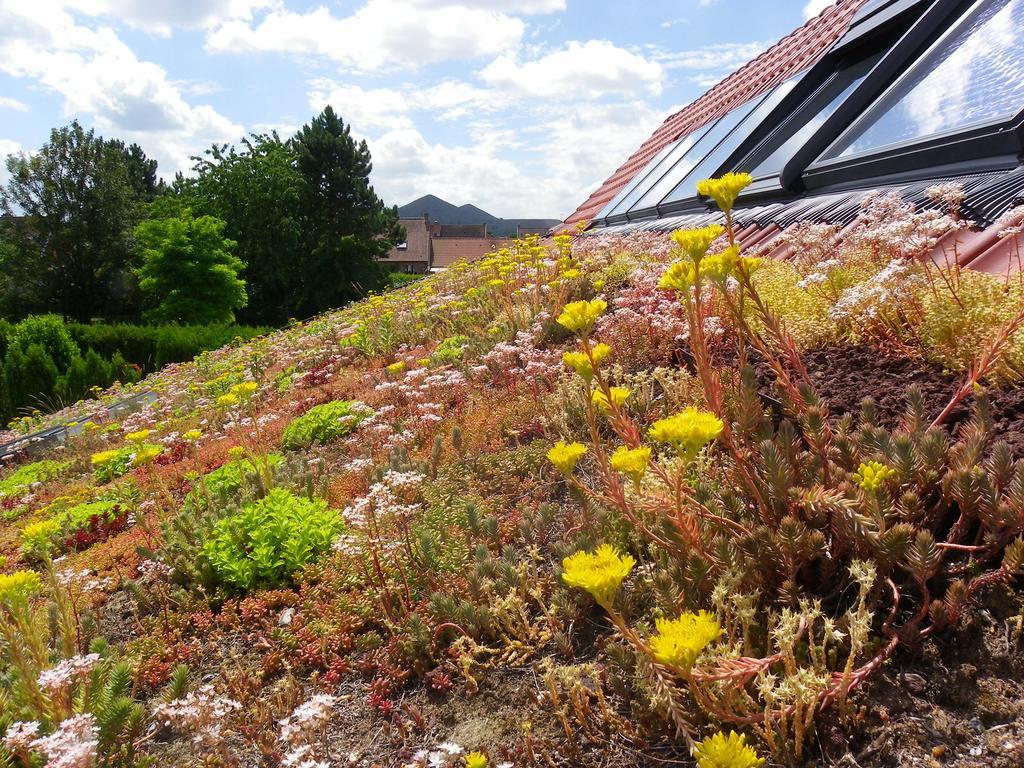Fleur De Ciel Villa Loos-en-Gohelle Kültér fotó