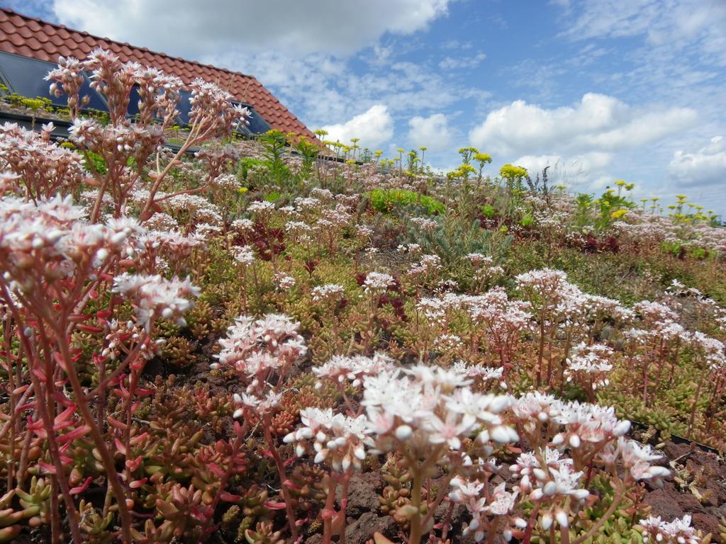 Fleur De Ciel Villa Loos-en-Gohelle Kültér fotó
