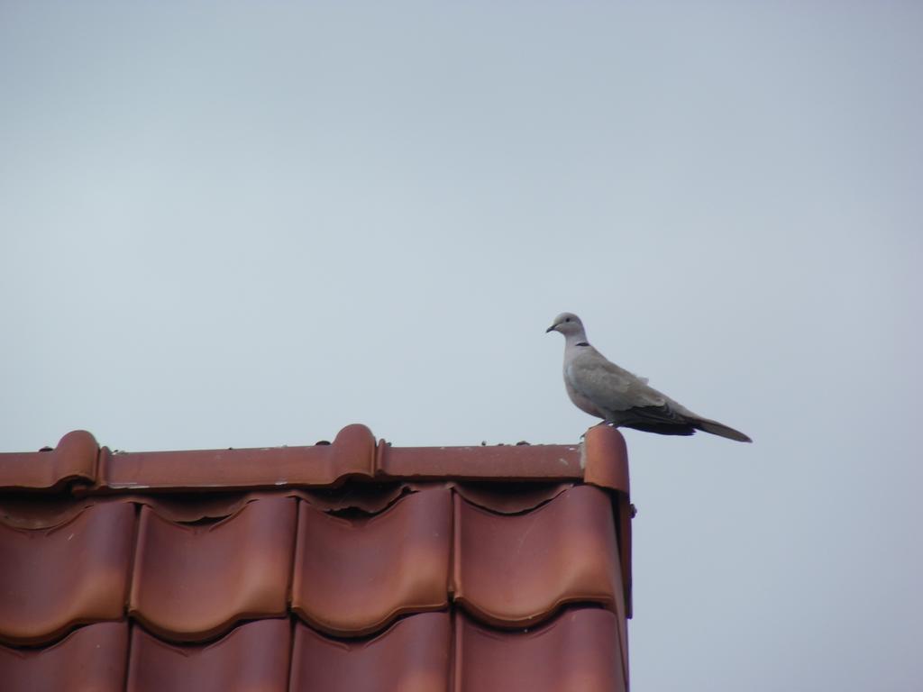Fleur De Ciel Villa Loos-en-Gohelle Kültér fotó