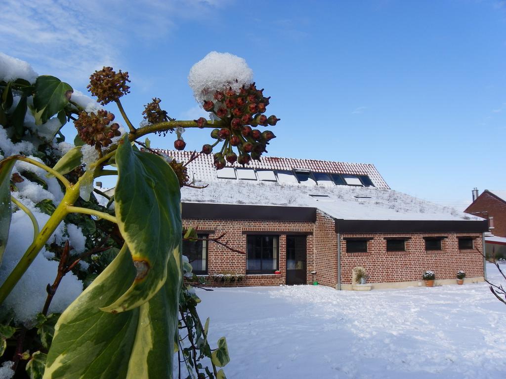 Fleur De Ciel Villa Loos-en-Gohelle Kültér fotó