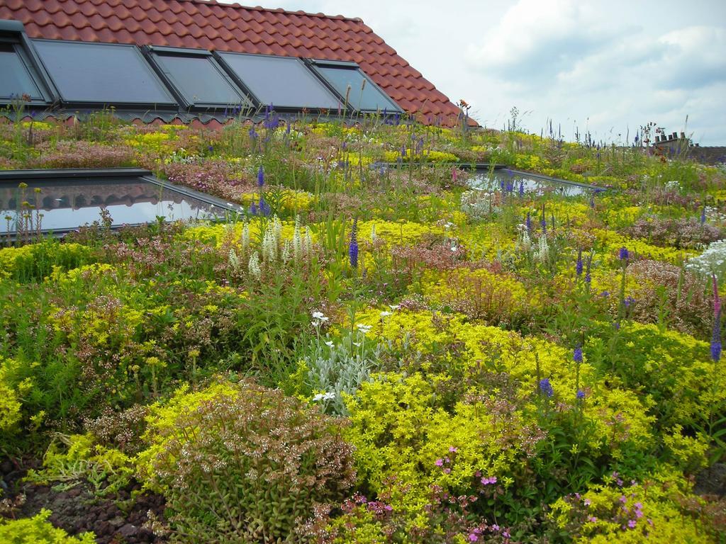 Fleur De Ciel Villa Loos-en-Gohelle Kültér fotó